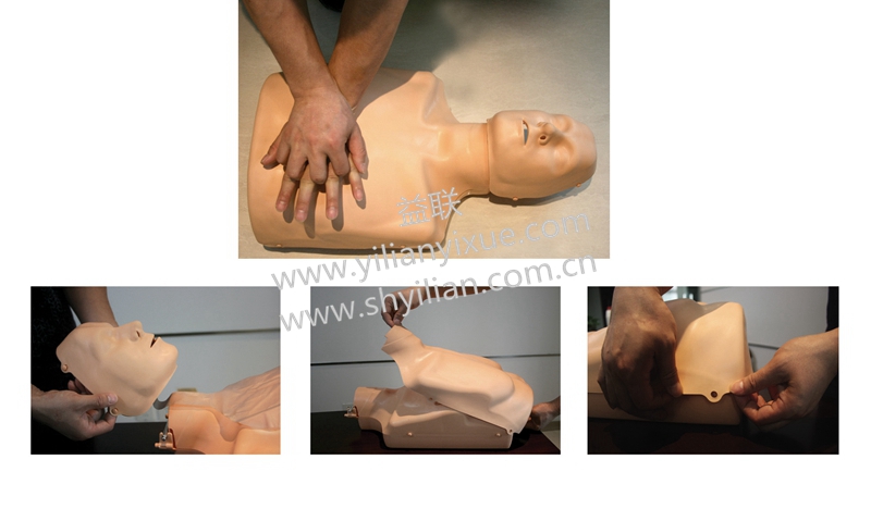 可調(diào)式成人與兒童心肺復(fù)蘇模擬人