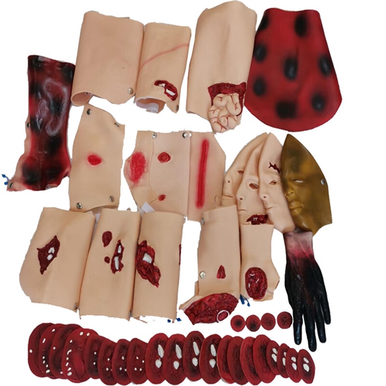 戰(zhàn)場急救創(chuàng)傷護理技術(shù)綜合訓(xùn)練模擬人