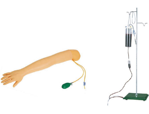 手臂動脈穿刺及肌肉注射訓練模型