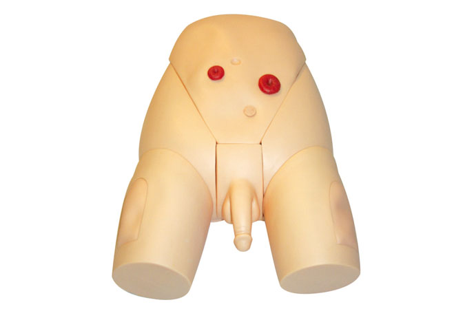 導(dǎo)尿技能練習(xí)模型
