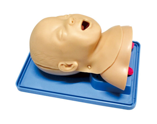 高級嬰兒氣管插管訓(xùn)練模型