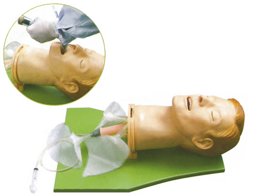 高級多功能氣道管理模型