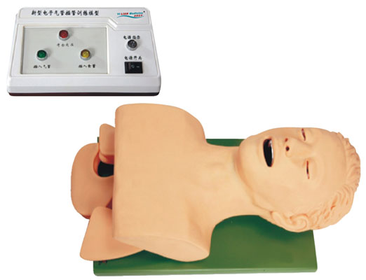 電子人體氣管插管訓練模型(帶報警)