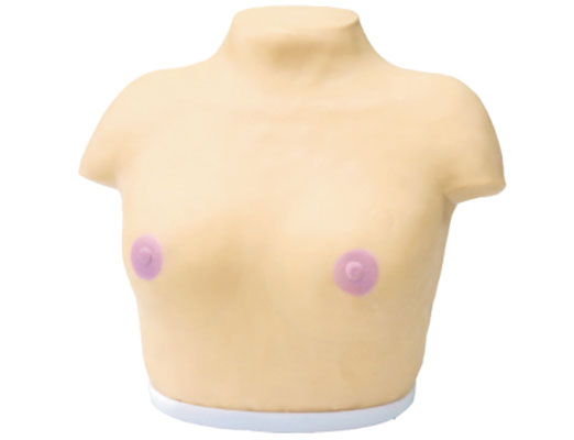 乳腺視診與觸診模型