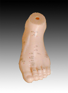 足針灸模型