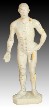 人體針灸模型