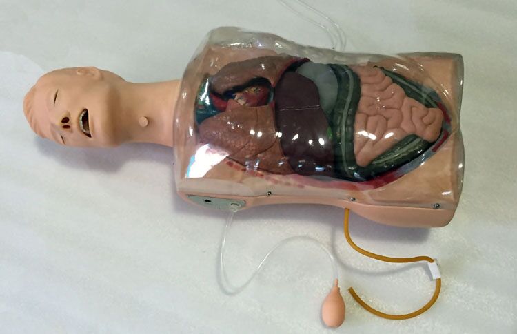 三腔二囊管訓(xùn)練模型