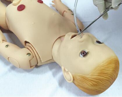 小兒鼻飼管模型