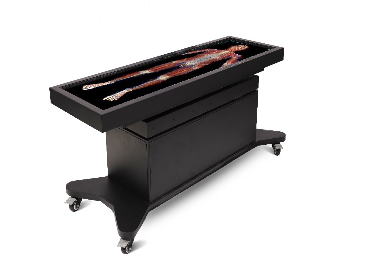 中醫(yī)經(jīng)絡(luò)教學(xué)助手益聯(lián)醫(yī)學(xué)中醫(yī)經(jīng)絡(luò)腧穴解剖教學(xué)平臺(tái)