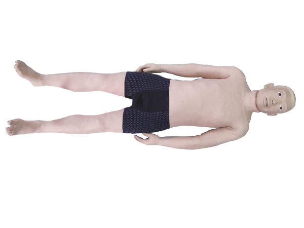 多功能中醫(yī)技能訓(xùn)練全身模型